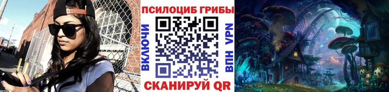 Псилоцибиновые грибы Cubensis  Рудня 